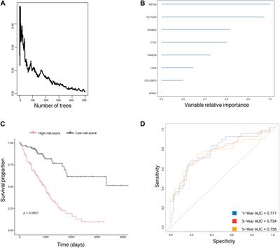 AVEN: a novel oncogenic biomarker with prognostic significance and implications of AVEN-associated immunophenotypes in lung adenocarcinoma